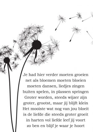 Kaart 'Overleden kindje' (A6)