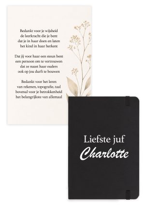 Ansichtkaart 'Wijsheid' leerkracht met notitieboek